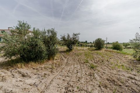 Helårsgrund i Belmonte, Castelo Branco, Belmonte - € 43.000 | Ref: 111260094 - foto 16