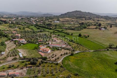Helårsgrund i Belmonte, Castelo Branco, Belmonte - € 43.000 | Ref: 111260094 - foto 17
