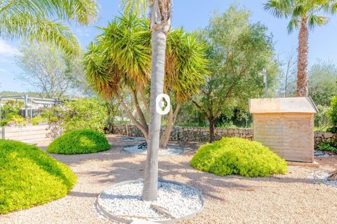 Rekkehus i Sa Pobla, Mallorca, Sa Pobla - € 650 000 | Ref: P002810/10684 - foto 45