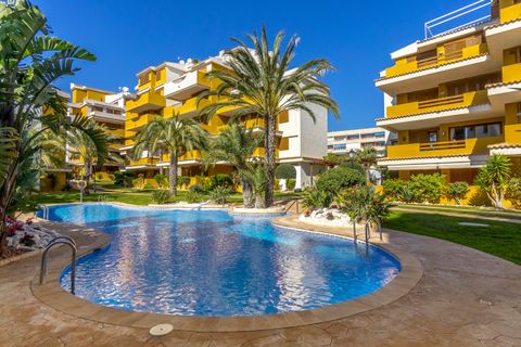 Lejlighed i Torrevieja, Alicante, Torrevieja - € 345.000 | Ref: 776758 - foto 24