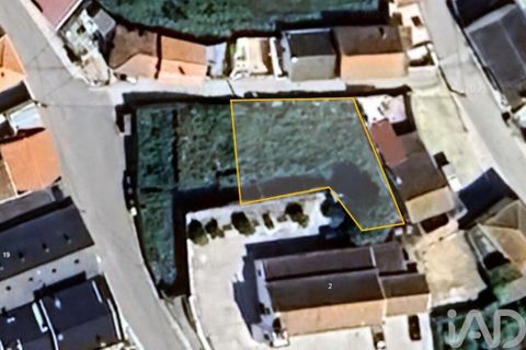 Helårsgrund i Cadaval, Lisbon, Cadaval - € 395.000 | Ref: 878340 - foto 12