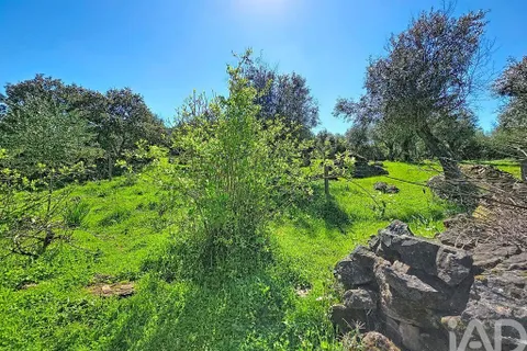 Gård i Borba, Evora, Borba - € 155 000 | Ref: 883186 - foto 4