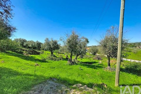 Gård i Borba, Evora, Borba - € 155 000 | Ref: 883186 - foto 8