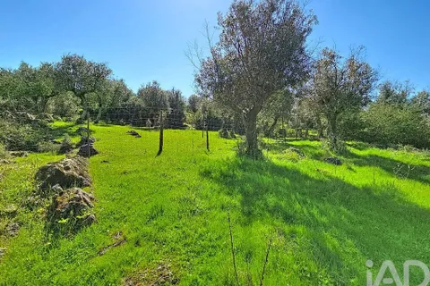 Gård i Borba, Evora, Borba - € 155 000 | Ref: 883186 - foto 10