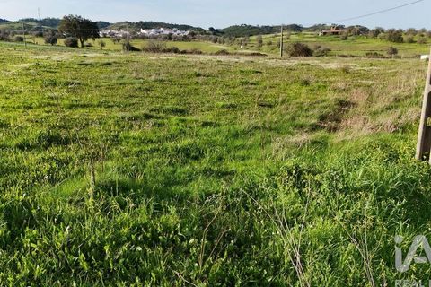 Terra a Ourique, Beja, Ourique - € 35.000 | Ref: 838479 - foto 2