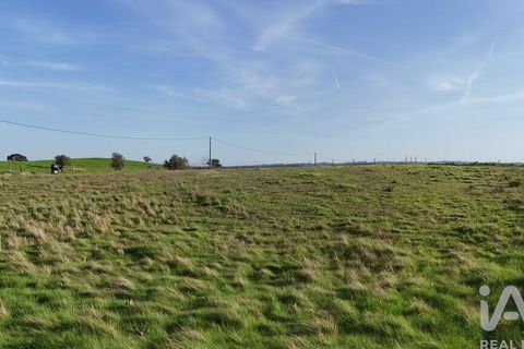 Terra a Ourique, Beja, Ourique - € 35.000 | Ref: 838479 - foto 3