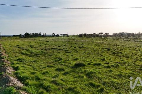 Terra a Ourique, Beja, Ourique - € 35.000 | Ref: 838479 - foto 4