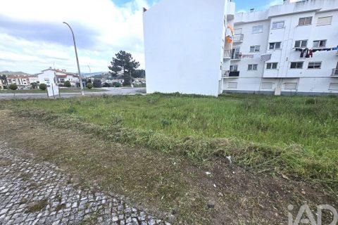 Helårsgrund i Pombal, Leiria, Pombal - € 150.000 | Ref: 149201 - foto 10