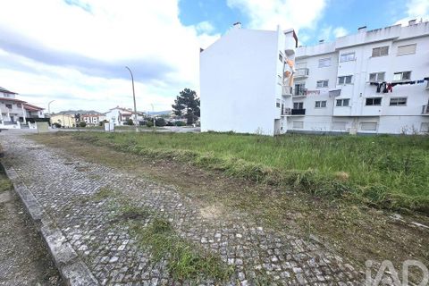 Helårsgrund i Pombal, Leiria, Pombal - € 150.000 | Ref: 149201 - foto 14