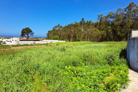 Helårsgrund i Ovar, Aveiro, Ovar - € 250.000 | Ref: 882839 - foto 2