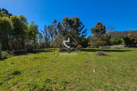 Helårsgrund i Arcos de Valdevez, Viana do Castelo, Arcos de Valdevez - € 60.000 | Ref: AV6689 - foto 5