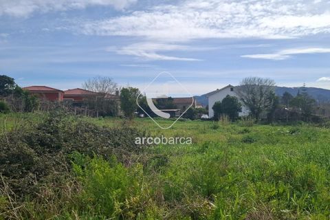 Terra a Ponte de Lima, Viana do Castelo, Ponte de Lima - € 475.000 | Ref: AV6691 - foto 2