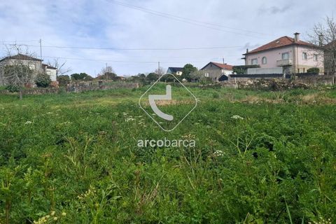 Terra a Ponte de Lima, Viana do Castelo, Ponte de Lima - € 475.000 | Ref: AV6691 - foto 3