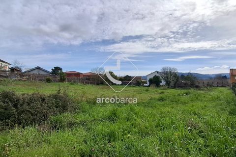 Terra a Ponte de Lima, Viana do Castelo, Ponte de Lima - € 475.000 | Ref: AV6691 - foto 4