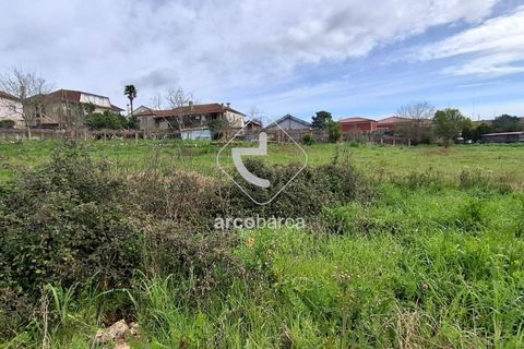 Terra a Ponte de Lima, Viana do Castelo, Ponte de Lima - € 475.000 | Ref: AV6691 - foto 5