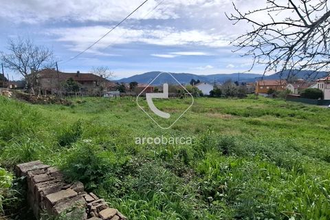 Terra a Ponte de Lima, Viana do Castelo, Ponte de Lima - € 475.000 | Ref: AV6691 - foto 7