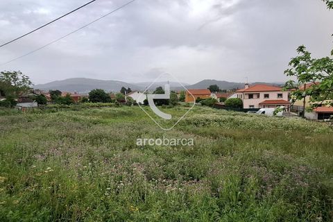 Terra a Ponte de Lima, Viana do Castelo, Ponte de Lima - € 475.000 | Ref: AV6691 - foto 11