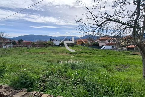 Terra a Ponte de Lima, Viana do Castelo, Ponte de Lima - € 475.000 | Ref: AV6691 - foto 14