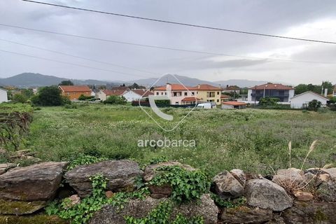 Terra a Ponte de Lima, Viana do Castelo, Ponte de Lima - € 475.000 | Ref: AV6691 - foto 16