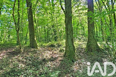 Landejendom i Luynes, Indre-et-Loire, Luynes - € 259.000 | Ref: 25909 - foto 19
