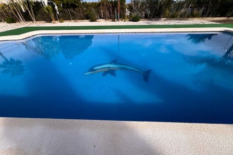 Villa a Dolores, Alicante, Dolores - € 529.000 | Ref: 32674 - foto 11