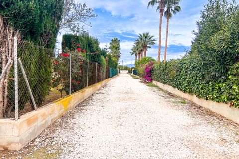 Villa a Dolores, Alicante, Dolores - € 529.000 | Ref: 32674 - foto 49