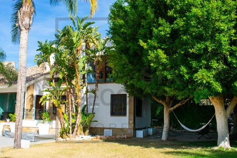 Villa en Algorfa, Alicante, Algorfa - € 1.100.000 | Ref: 32614 - photo 5