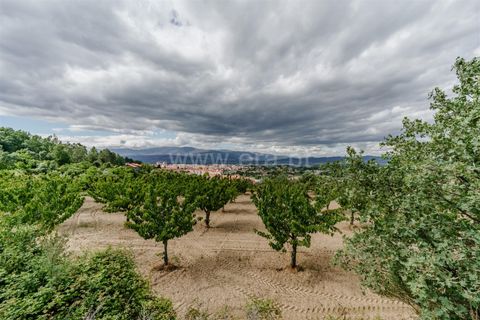 Helårsgrund i Fundao, Castelo Branco, Fundao - € 90.000 | Ref: 255260062 - foto 3