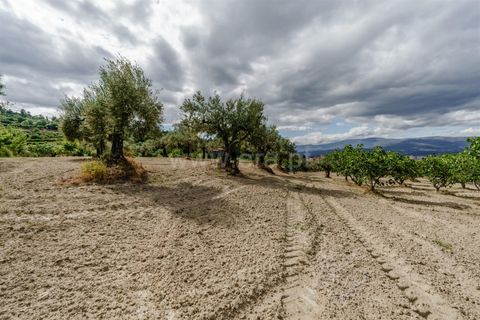 Helårsgrund i Fundao, Castelo Branco, Fundao - € 90.000 | Ref: 255260062 - foto 6