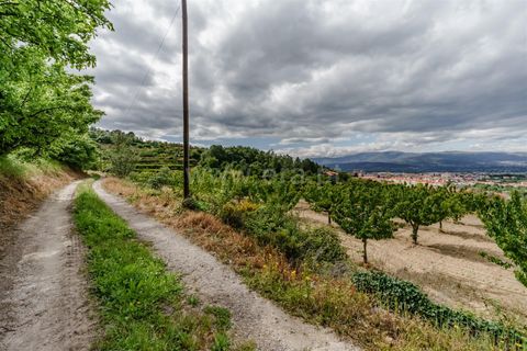 Helårsgrund i Fundao, Castelo Branco, Fundao - € 90.000 | Ref: 255260062 - foto 8