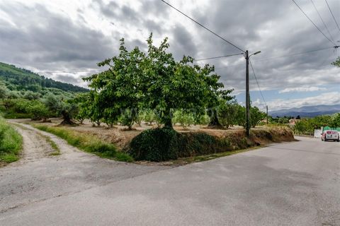 Helårsgrund i Fundao, Castelo Branco, Fundao - € 90.000 | Ref: 255260062 - foto 9