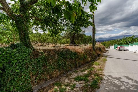 Helårsgrund i Fundao, Castelo Branco, Fundao - € 90.000 | Ref: 255260062 - foto 10