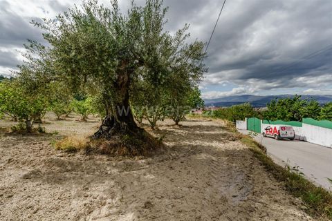 Helårsgrund i Fundao, Castelo Branco, Fundao - € 90.000 | Ref: 255260062 - foto 11