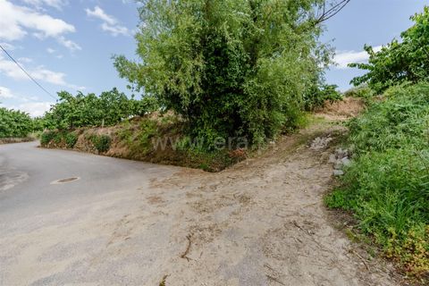 Helårsgrund i Fundao, Castelo Branco, Fundao - € 90.000 | Ref: 255260062 - foto 12