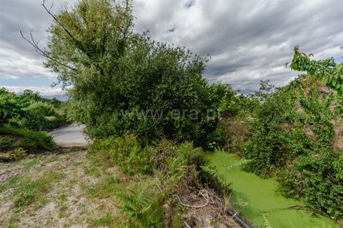 Helårsgrund i Fundao, Castelo Branco, Fundao - € 90.000 | Ref: 255260062 - foto 15