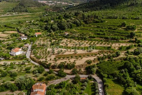 Helårsgrund i Fundao, Castelo Branco, Fundao - € 90.000 | Ref: 255260062 - foto 16