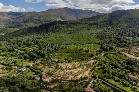 Helårsgrund i Fundao, Castelo Branco, Fundao - € 90.000 | Ref: 255260062 - foto 17