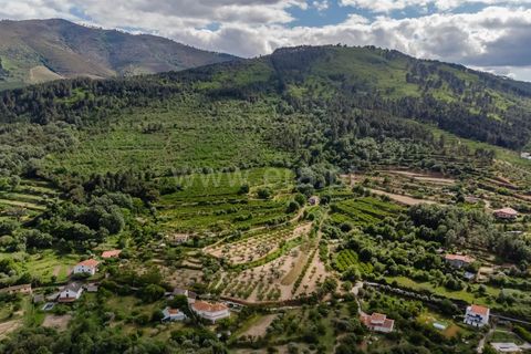 Helårsgrund i Fundao, Castelo Branco, Fundao - € 90.000 | Ref: 255260062 - foto 18