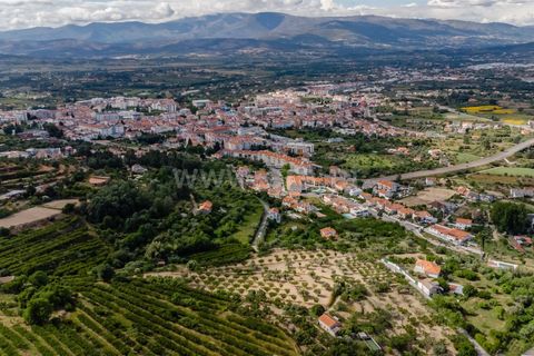 Helårsgrund i Fundao, Castelo Branco, Fundao - € 90.000 | Ref: 255260062 - foto 22