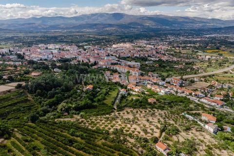 Helårsgrund i Fundao, Castelo Branco, Fundao - € 90.000 | Ref: 255260062 - foto 23