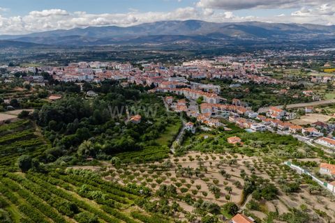 Helårsgrund i Fundao, Castelo Branco, Fundao - € 90.000 | Ref: 255260062 - foto 24