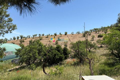 Landejendom i Velez-Rubio, Almeria, Velez-Rubio - € 160.000 | Ref: 2761 - foto 31
