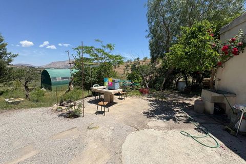 Landejendom i Velez-Rubio, Almeria, Velez-Rubio - € 160.000 | Ref: 2761 - foto 32