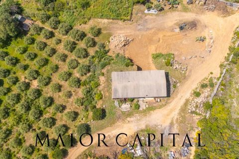 Landejendom i Arzachena, Sassari, Arzachena - € 680.000 | Ref: ARV-04-26 - foto 22