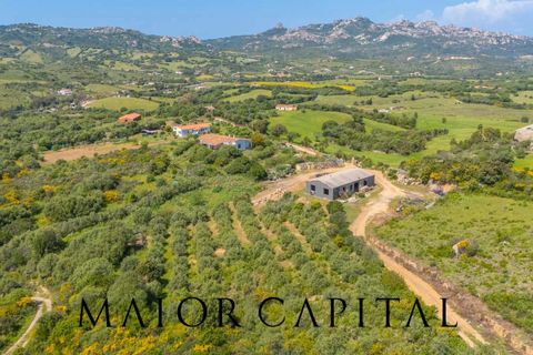 Landejendom i Arzachena, Sassari, Arzachena - € 680.000 | Ref: ARV-04-26 - foto 25