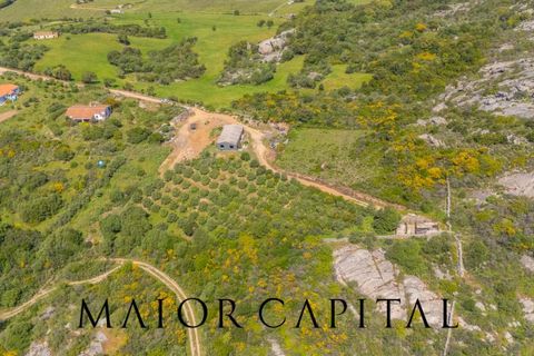 Landejendom i Arzachena, Sassari, Arzachena - € 680.000 | Ref: ARV-04-26 - foto 26