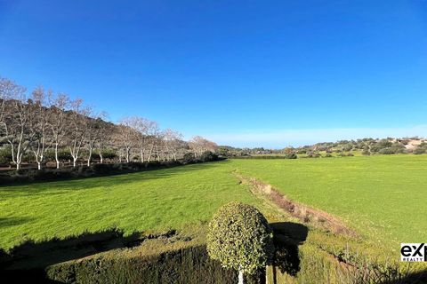 Rækkehus i Valldemosa, Mallorca, Valldemosa - € 910.000 | Ref: EXP14101/8930 - foto 21