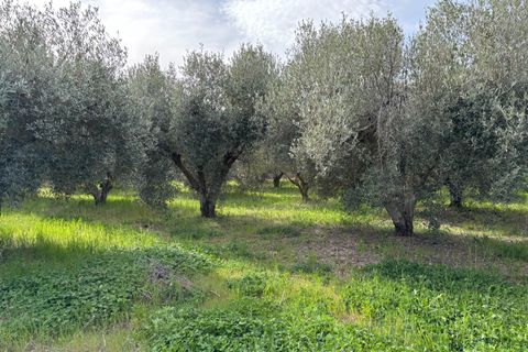 Villa i Tarazona, Zaragoza, Tarazona - € 170.000 | Ref: EXP14099/8930 - foto 28