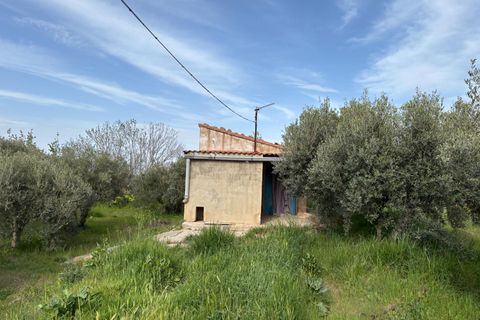 Villa i Tarazona, Zaragoza, Tarazona - € 170.000 | Ref: EXP14099/8930 - foto 30