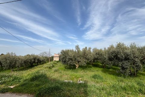 Villa i Tarazona, Zaragoza, Tarazona - € 170.000 | Ref: EXP14099/8930 - foto 32